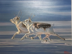 Perry Caribou