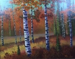 The Birch Grove