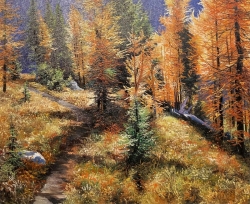 Larch Trail