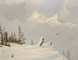 Mountain Ravens Above Hilda Creek