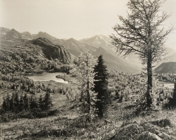 Larix Lake