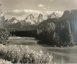 Three Sisters in Springtime