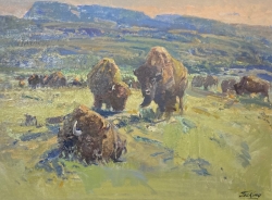 Buffalo